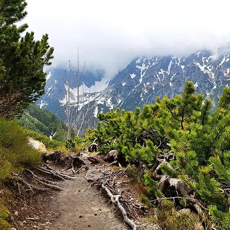 Wierchy Wiatr * Kościelisko