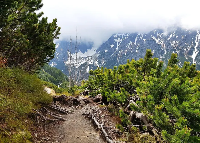 Wierchy Wiatr * Kościelisko